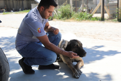 İzmir Efes Selçuk’ta 'satın alma sahiplen' çağrısı