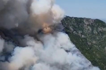 Sakarya Geyve'de orman yangınına yoğun müdahale