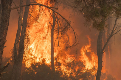 İzmir Gaziemir'deki yangın kontrol altında