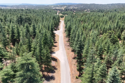 Mersin’in dağ yoluna asfalt dokunuşu