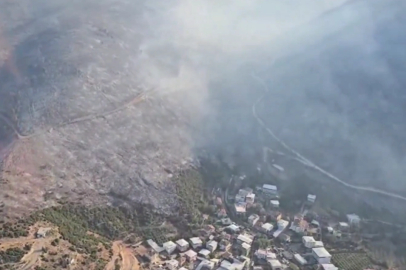 TMMOB Bursa: Orman yangınlarındaki zafiyet kabul edilemez