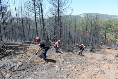 Bursa'da orman yangınlarına OSAD'dan koordineli müdahale