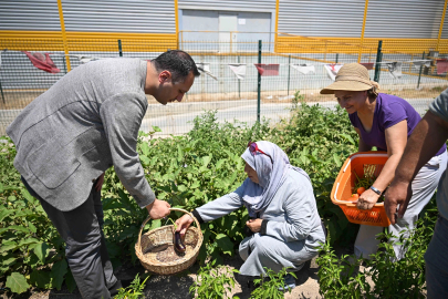 İzmir'de Kent Bostanları’nın sayısı 5’e çıkıyor