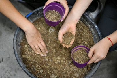 İzmir Bornova’da tohumdan umuda