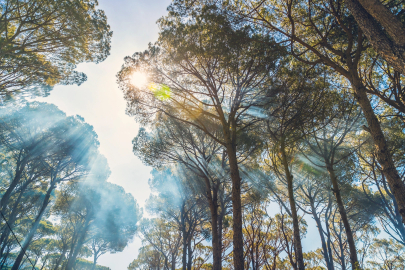 Yangın riskine karşı tatilde nasıl davranmalıyız?