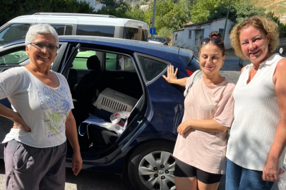 İzmir Narlıdere'de minik dostlar için seferberlik