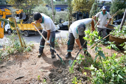 İstanbul Beylikdüzü daha da yeşil olacak