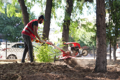 Ankara Keçiören'de park ve bahçelere estetik dokunuş