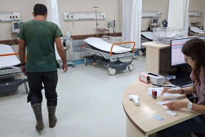 Bursa'da veteriner hekim sokak köpeği tarafından ısırıldı!