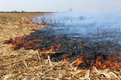 Edirne İpsala'da 5 kişiye 'anız yakma' cezası!