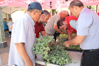İzmit’te başlayan fide desteği, Gebze köylerine ulaştı
