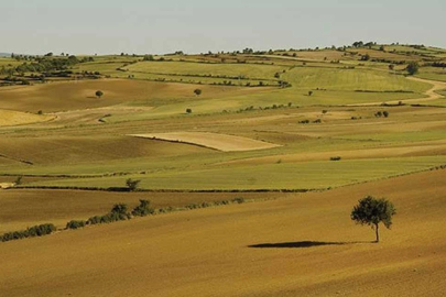 Atıl arazileri bulunan arazi sahipleri dikkat! Son gün 15 Ekim