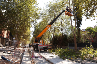 Alikahya Tramvay Hattı için ağaçlara itinalı budama