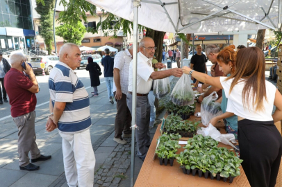Ordu’da kışlık sebze atağı: 200 bin fide üreticiyle buluşuyor