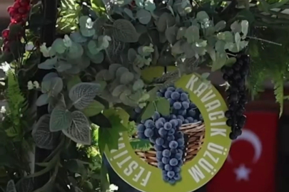 Karabağlar Kavacık'taki üzümle 13'üncü buluşma