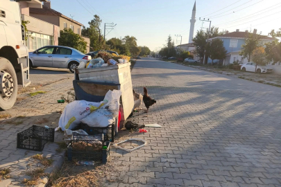 İpsala'da CHP’li Meclis Üyesi'nden Başkan Kerman’a bakımsızlık eleştirisi