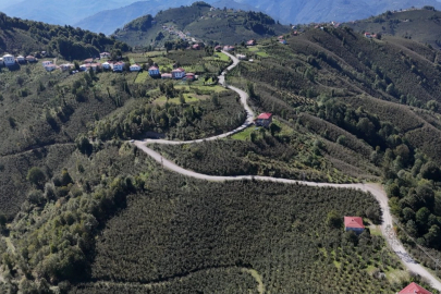 Ordu Gürgentepe’de ulaşım konforu artıyor