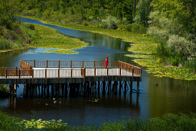 Sakarya 2026'da Kültür Yolu'na ev sahipliği yapacak