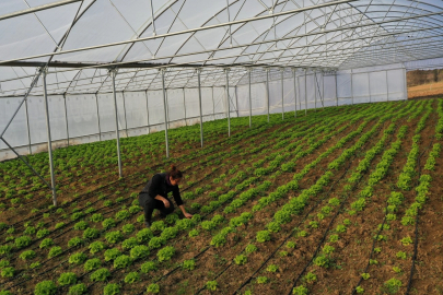 Kocaeli Büyükşehir’den çiftçilere modern sera desteği