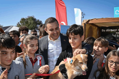 Can dostlara modern yaşam alanı