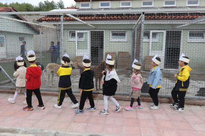 Muğlalı minik yüreklerden can dostlara ziyaret