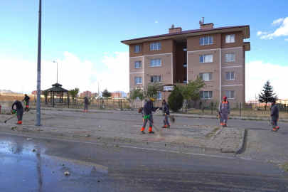 Kayseri Melikgazi'de genel sonbahat temizliği