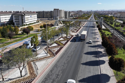 Konya'da kurakçıl peyzajla su ve enerji tasarrufu sağlanacak