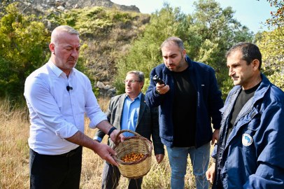 Bursa Karacabey 'Alıç Meyvesi'ni dünya pazarında tanıtacak!