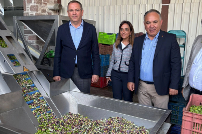 Ayvalık Ticaret Odası: Zeytinyağı ihracatında en büyük sorun markasızlık