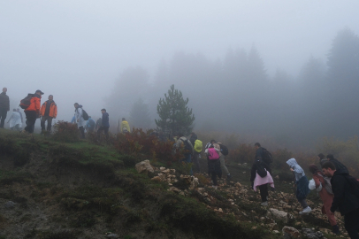 Sakarya'da sisler içindeki Kılıçkaya’da büyüleyici gün