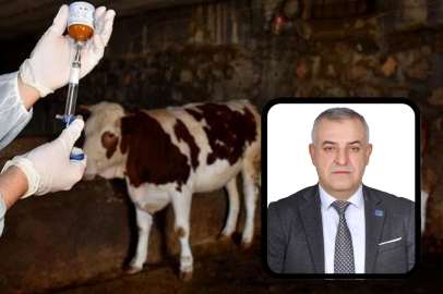 Bursa Mustafakemalpaşa’da şap alarmına A Parti açıklaması