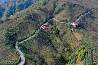 Ordu Tepeköy’de asfalt sevinci