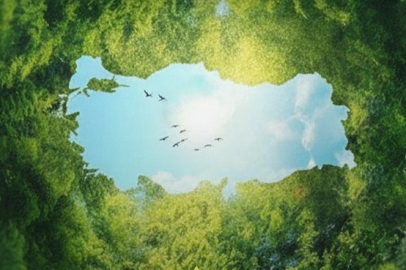 Burhanettin Duran'dan Çanakkale’de hatıra ormanı paylaşımı