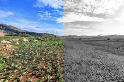 Mersin’de iklim ve yeşil dönüşüm önceliği