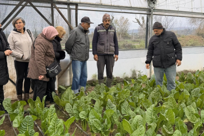 Kocaeli’de 65 yaş üstü bireyler tarımsal üretime katıldı