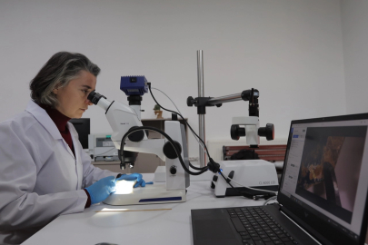 Kayseri Büyükşehir konservasyon laboratuarı kurdu