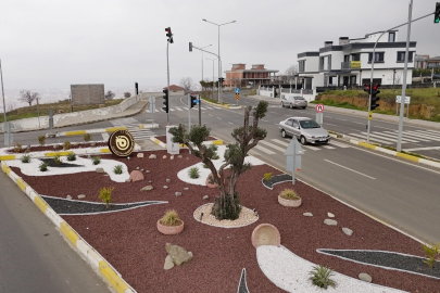 Tekirdağ'ın cadde ve kavşaklarına iklim dostu dokunuş