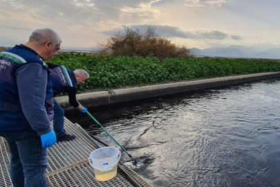 Gediz'de çevre kıyımına geçit yok!
