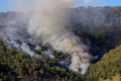 Avustralya'da orman yangınları devam ediyor