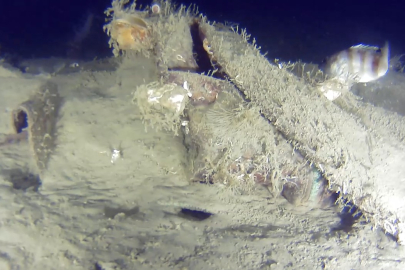 THY'nin 50 yıl önce düşen uçağının enkazından yeni parçalar bulundu