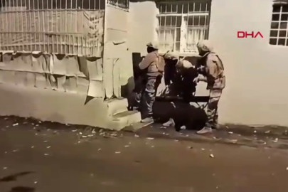 Diyarbakır ve Manisa'da kapsamlı uyuşturucu operasyonu: 445 gözaltı