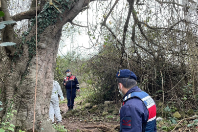 Çalılıklarda cesedi bulundu