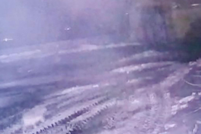 Sisli havada köye inen kurt, ağıldaki 200 koyunu öldürdü