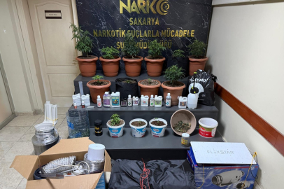 Kurdukları serada Hint keneviri yetiştiren 2 şüpheli gözaltına alındı