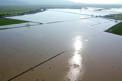 Korkulan oldu! Menderes taştı: Binlerce dönüm sular altında kaldı