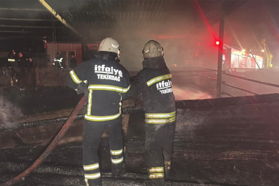 Tekirdağ’da çiftlik yangını: 60 küçükbaş hayvan alevler arasında can verdi