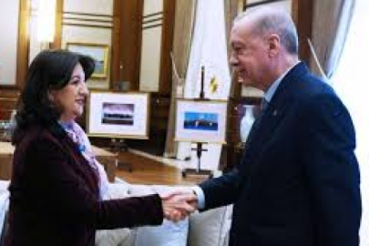 DEM Parti duyurdu: İmralı heyeti Erdoğan ile görüşecek