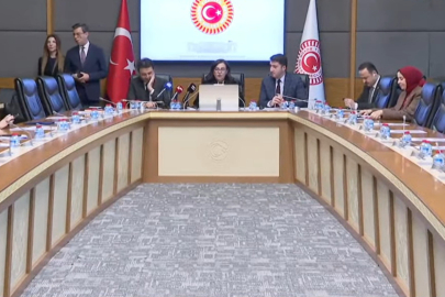 Komisyonda çarpıcı uyarı: Çocuklar risk altında, erken müdahale kaçırılıyor