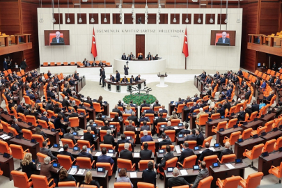 TBMM Genel Kurulu'nda, 'Milli Parklar Kanunu Teklifi’nin 3 maddesi daha kabul edildi