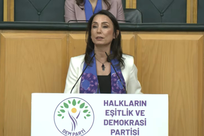 DEM Parti'li Hatimoğulları: AİHM ve AYM kararları uygulanmalı